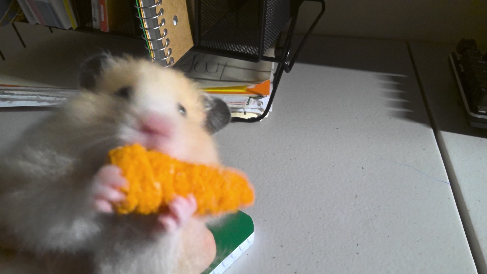 Hamster With Carrot